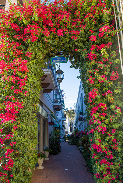 An entranceway completely covered by beautiful reddish-pink flowers.
