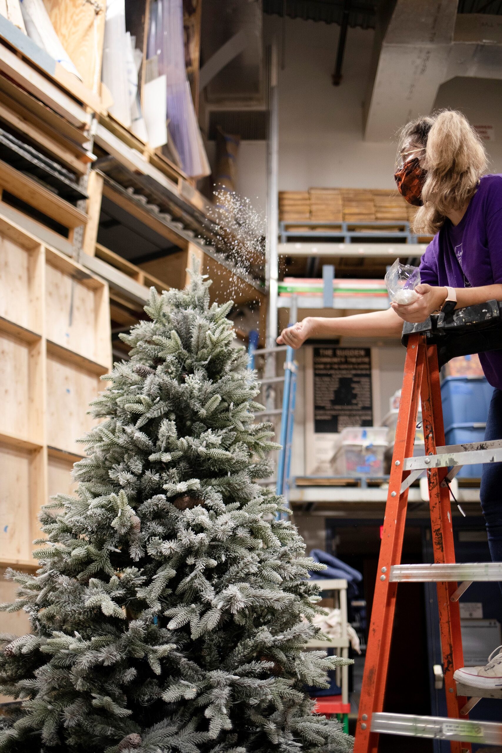 Women on ladder christmas tree