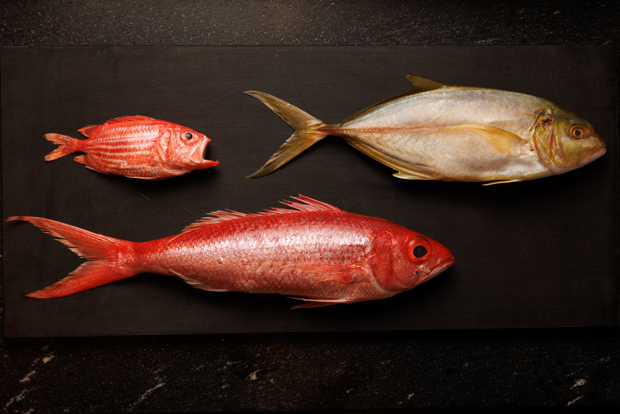 OMASAVA: Where Japanese Tradition Meets Modern Artistry