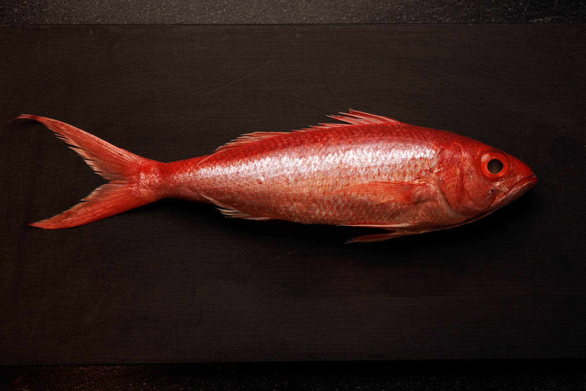 OMASAVA: Where Japanese Tradition Meets Modern Artistry