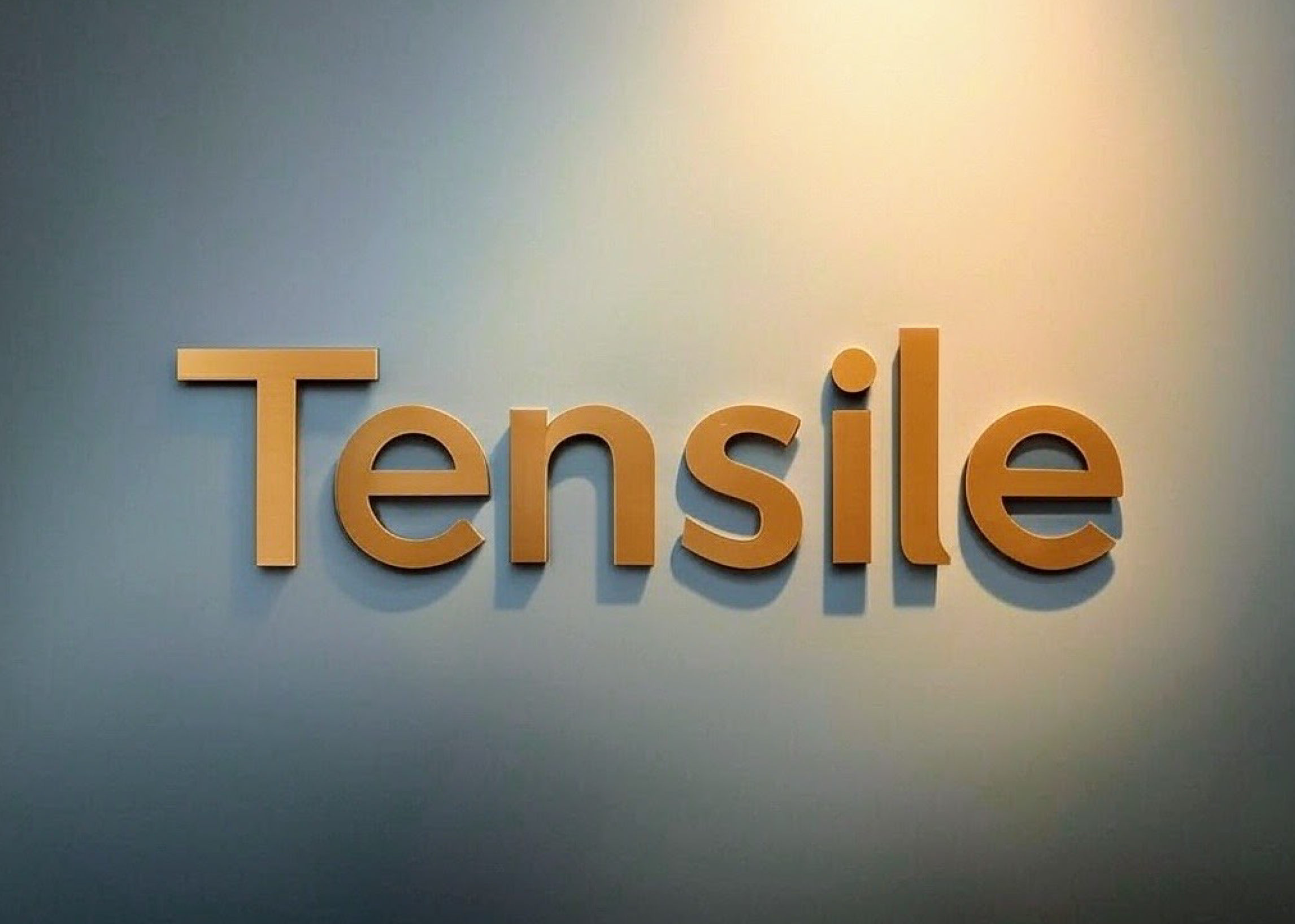 Tensile Inc